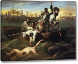 Watson and the Shark